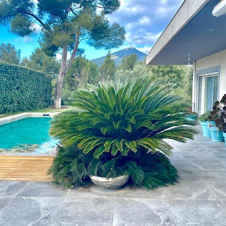 Chambre Luxe Dans Villa De Standing Avec Piscine, Acces Discret Et Independant, Terrasse Arboree Et Parking Prive La Valette-du-Var Buitenkant foto