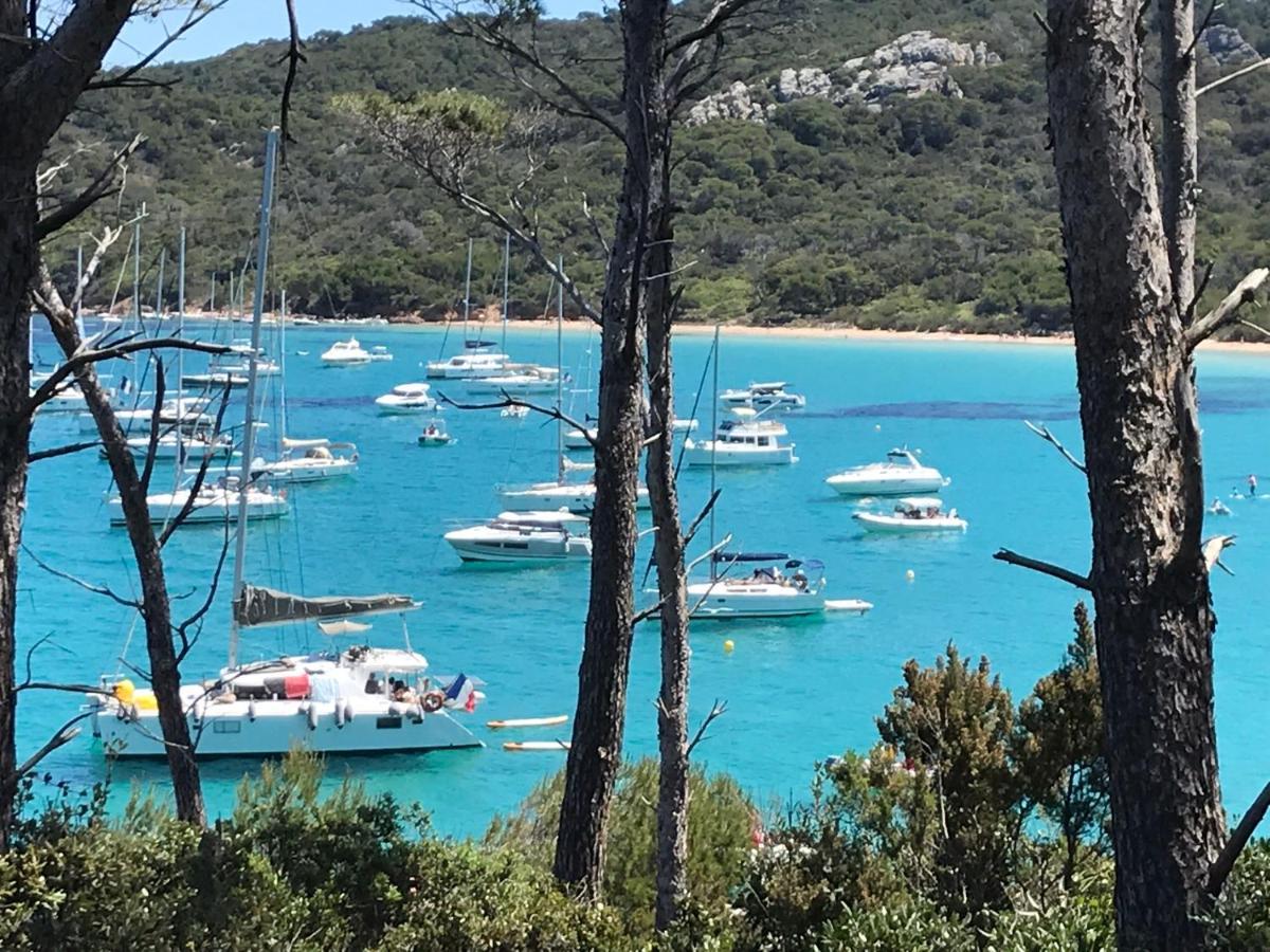 Chambre Luxe Dans Villa De Standing Avec Piscine, Acces Discret Et Independant, Terrasse Arboree Et Parking Prive La Valette-du-Var Buitenkant foto
